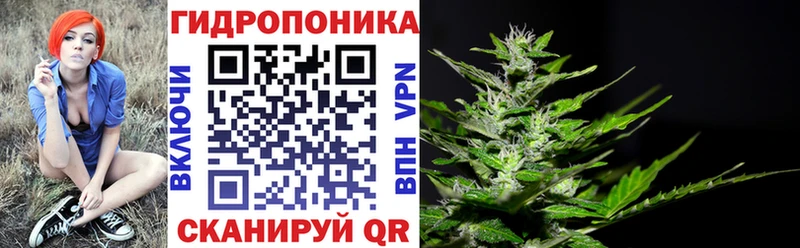 Все наркотики Демидов ГАШ  COCAIN  blacksprut зеркало  Меф мяу мяу  A-PVP  Галлюциногенные грибы 