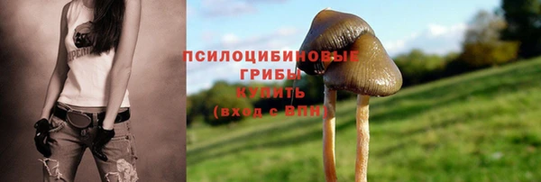 экстази Армянск