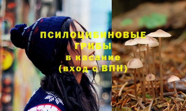 сатива Арсеньев
