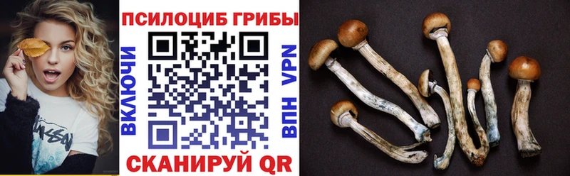 Псилоцибиновые грибы прущие грибы что такое наркотик Демидов